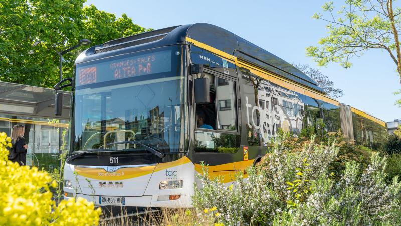 Bus TAC